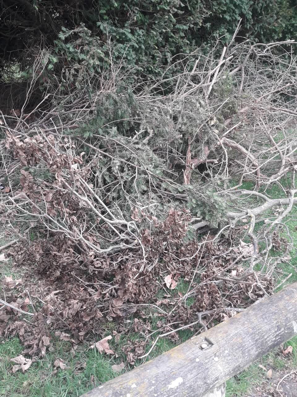The photograph attached to this rubbish/recycling report