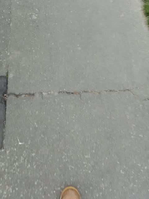 Roading/Streets, a report photo
