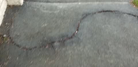 Roading/Streets, a report photo
