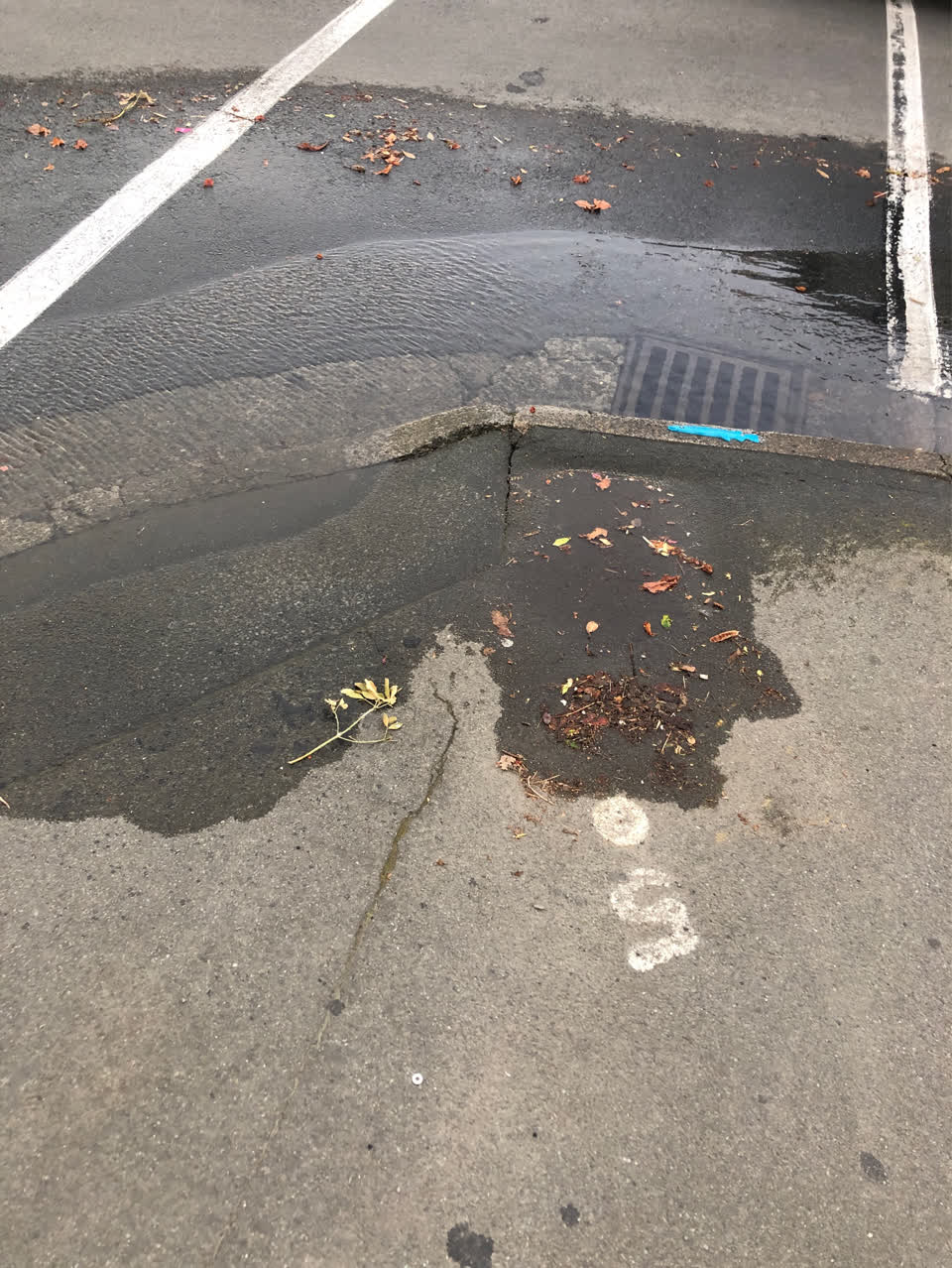The photograph attached to this flooding report