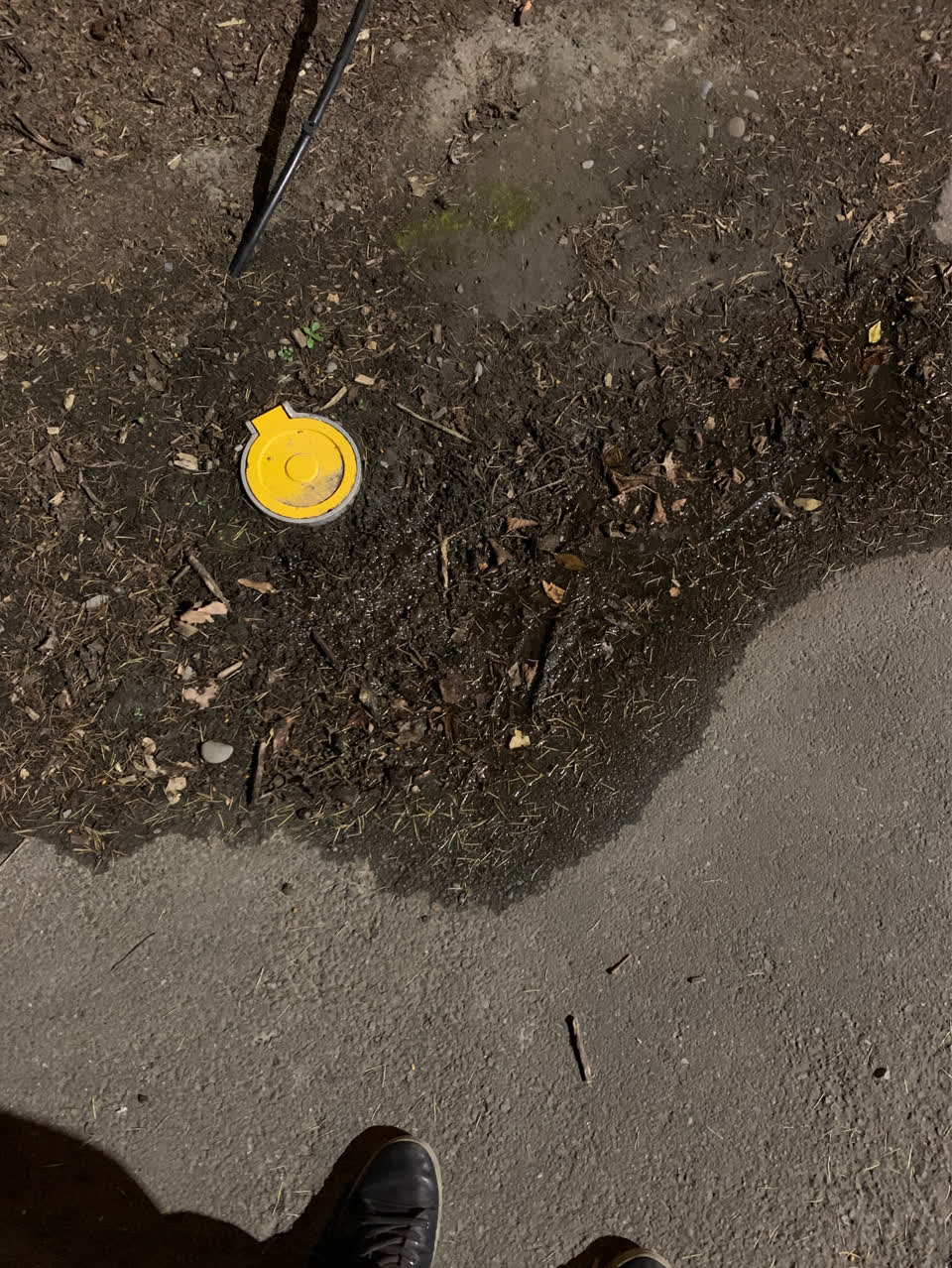 The photograph attached to this water supply report