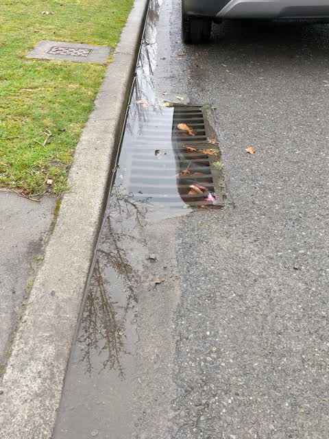 Flooding, a report photo