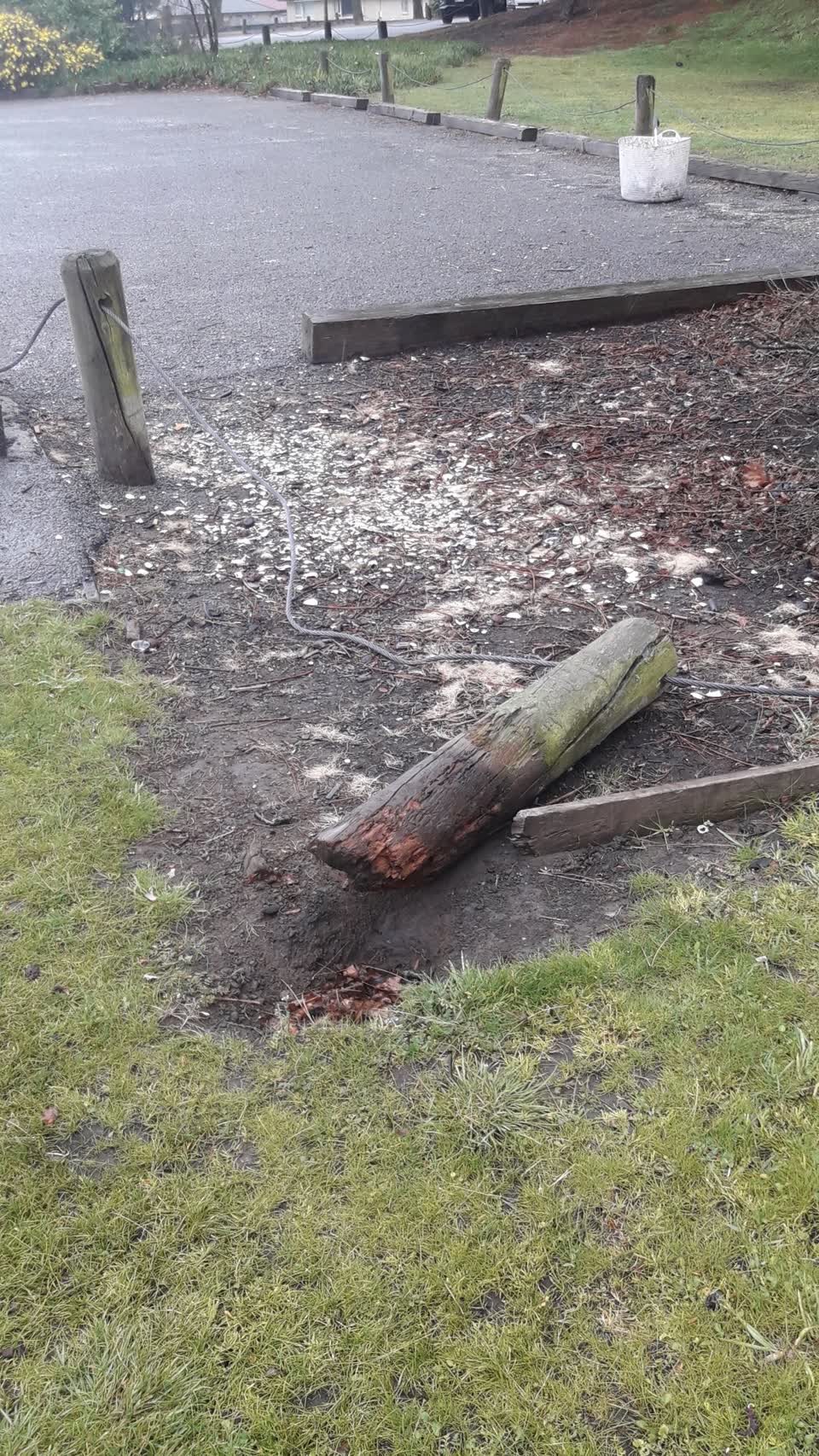 The photograph attached to this parks report