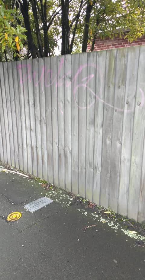 Graffiti, a report photo