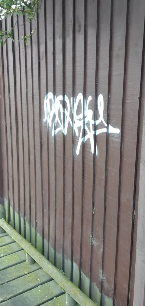 Graffiti — a report photo