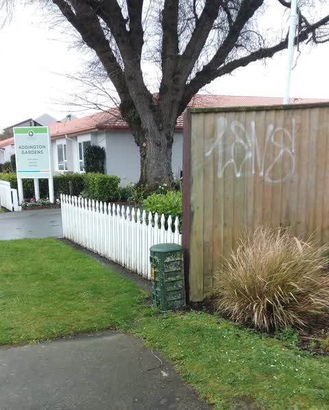 Graffiti, a report photo