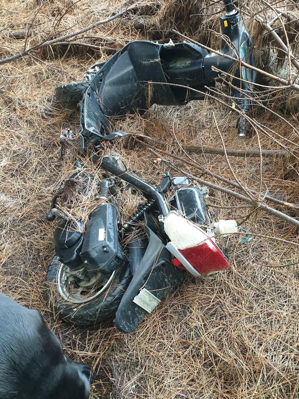 The photograph attached to this parks report