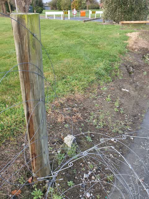 Parks, a report photo