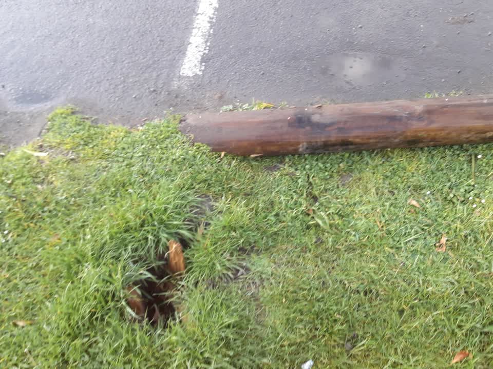 The photograph attached to this parks report