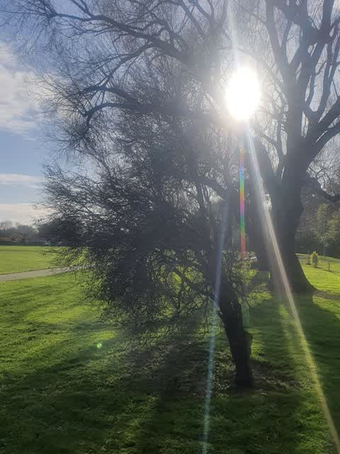 Parks, a report photo