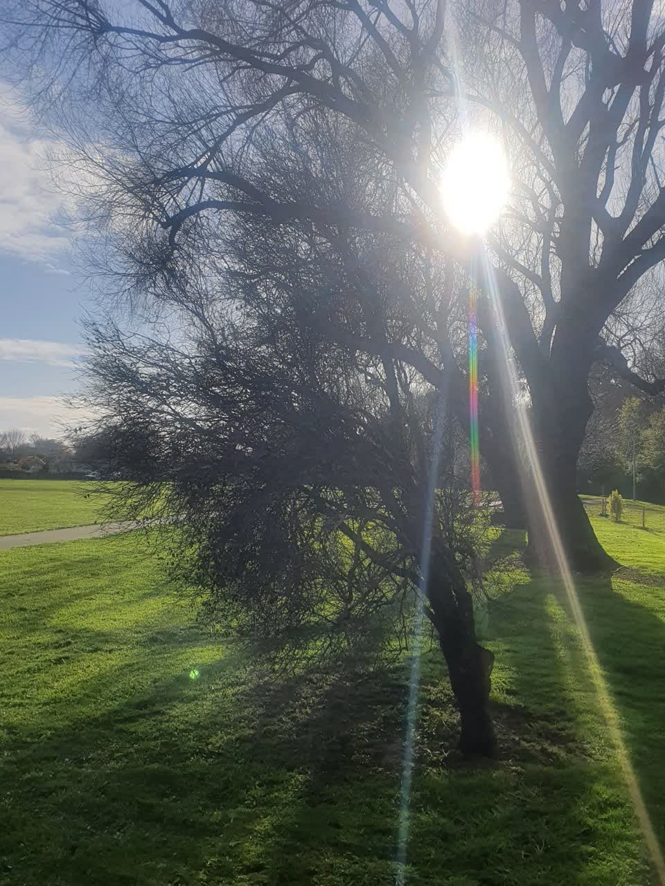 The photograph attached to this parks report