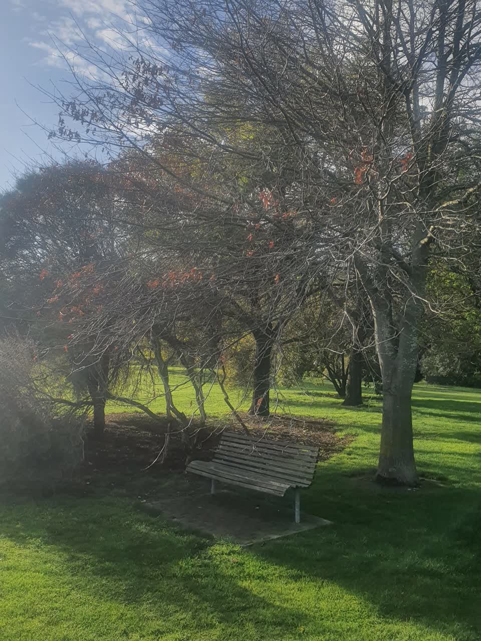 The photograph attached to this parks report