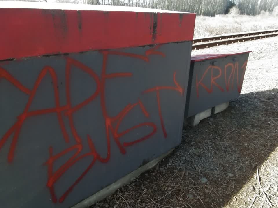 The photograph attached to this graffiti report