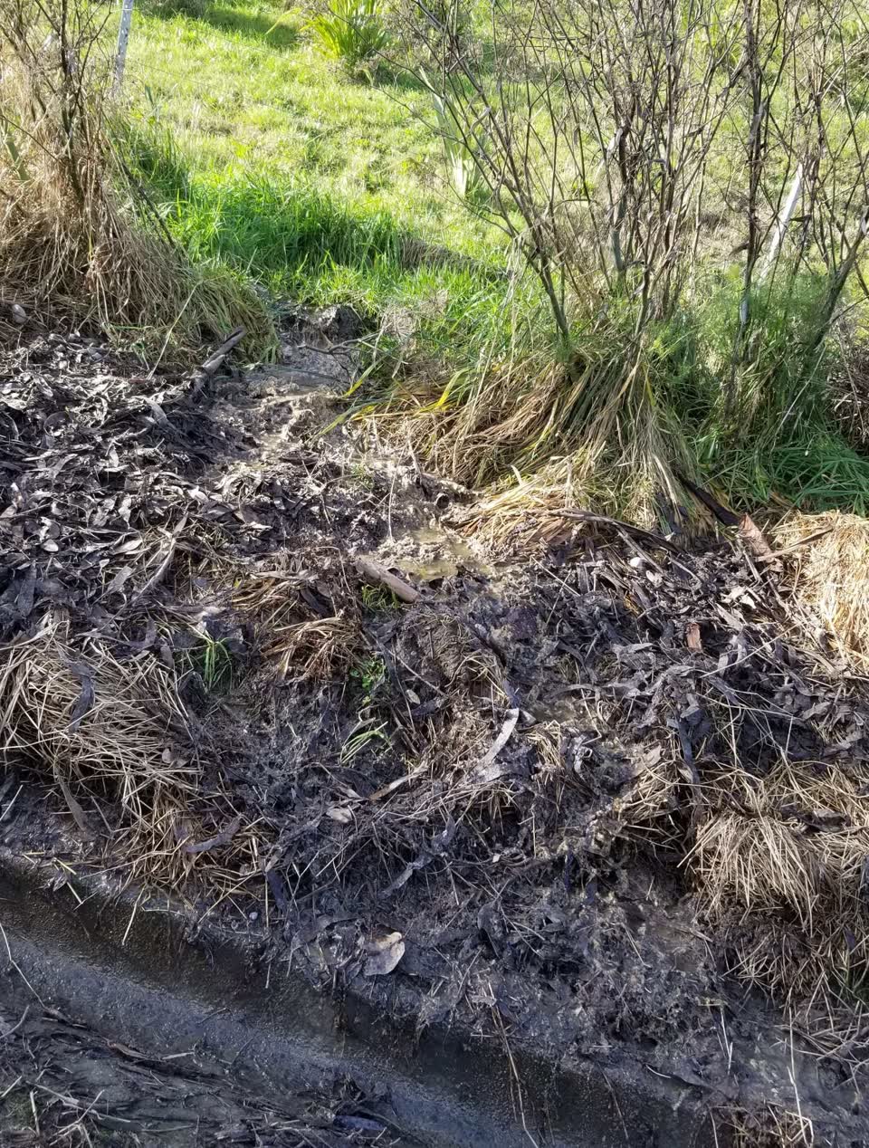 The photograph attached to this wastewater/stormwater report