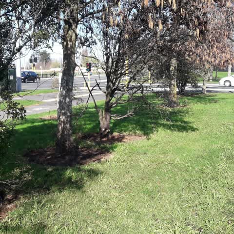 Parks, a report photo