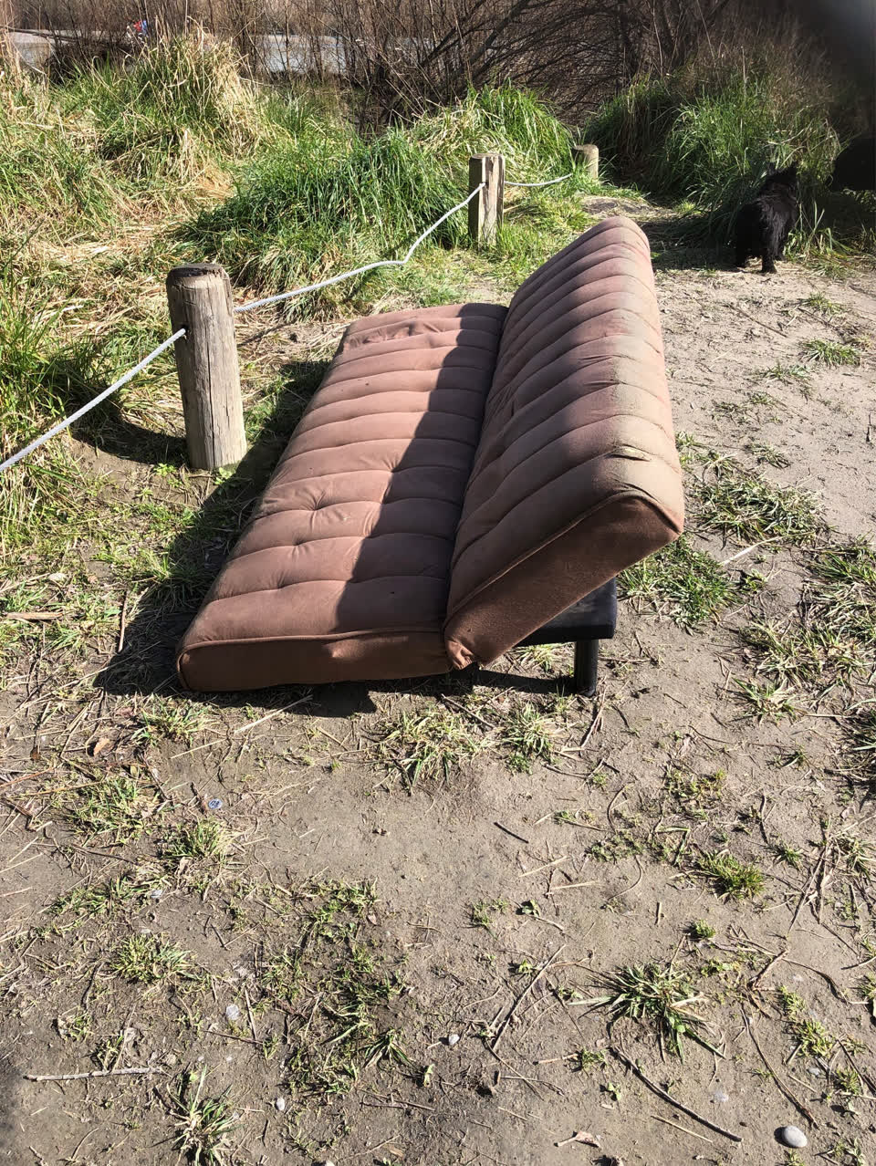The photograph attached to this parks report