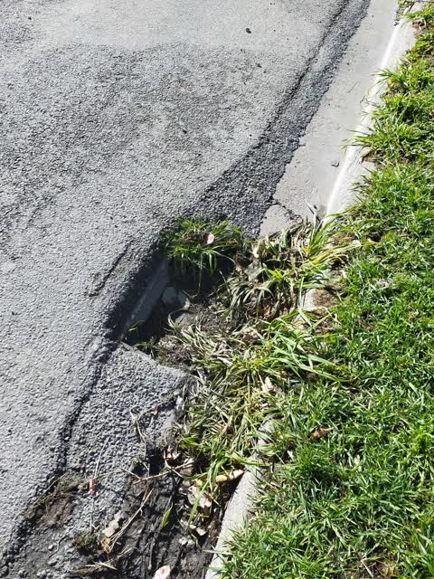 Roading/Streets, a report photo
