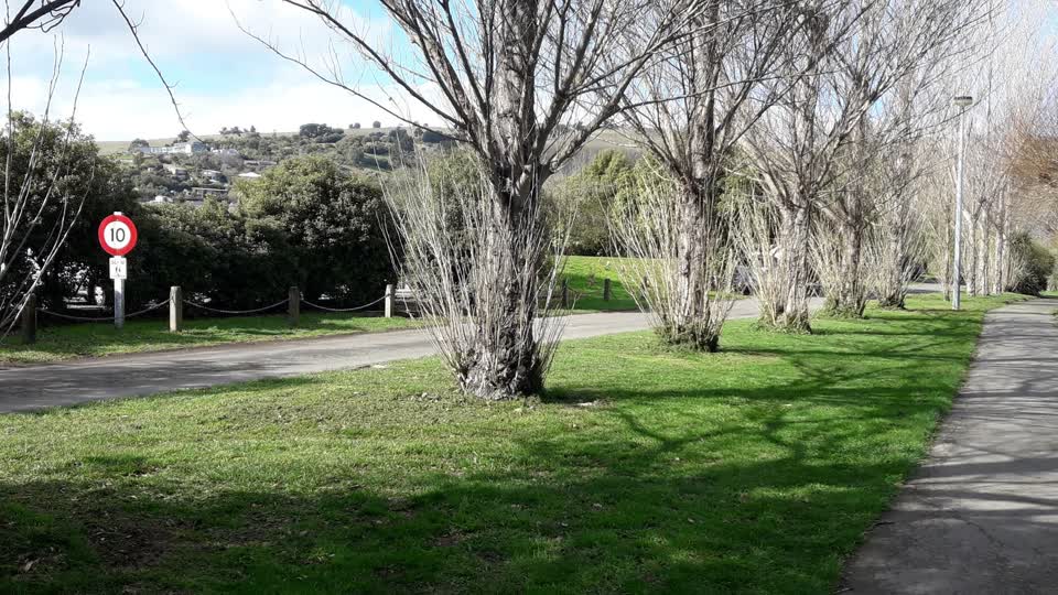 The photograph attached to this parks report