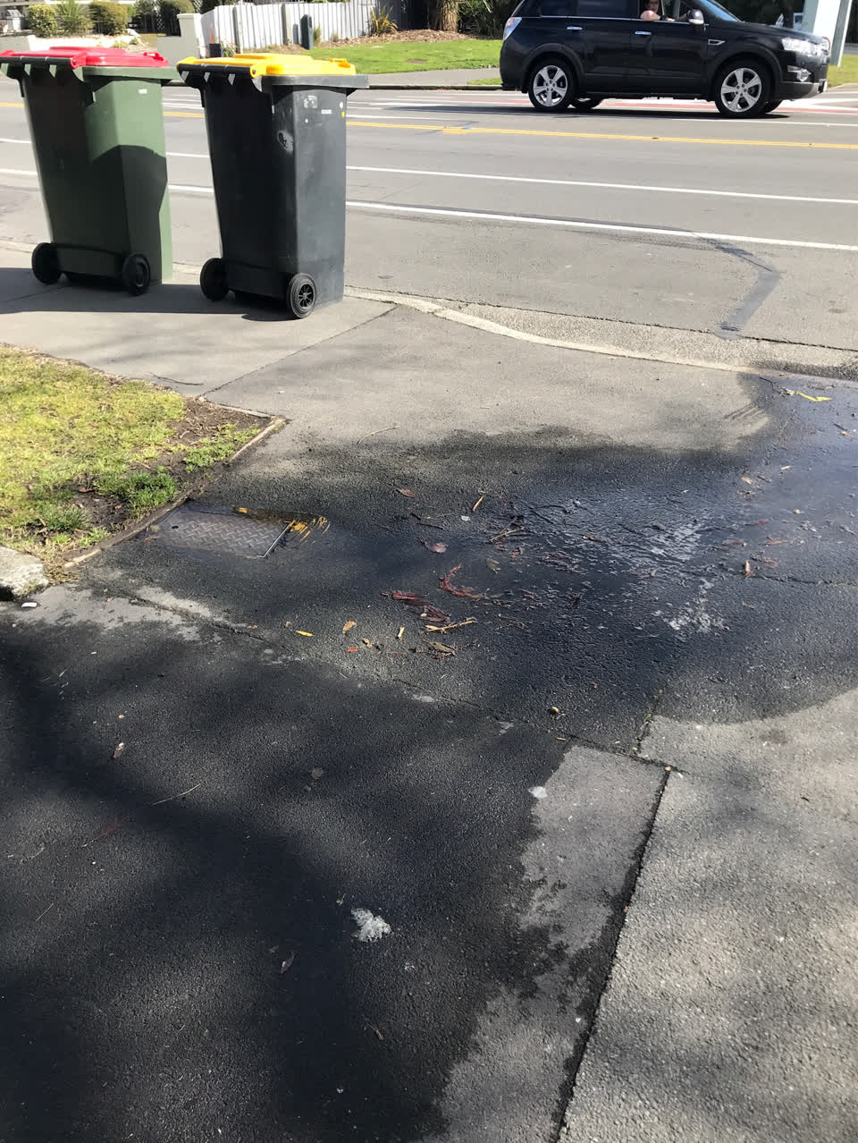 The photograph attached to this roading/streets report