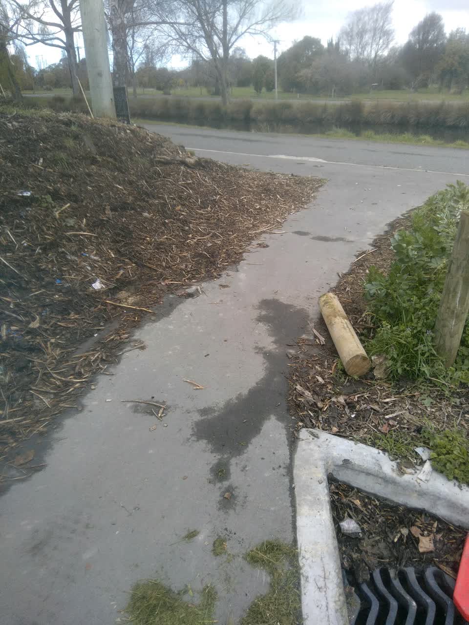 The photograph attached to this parks report
