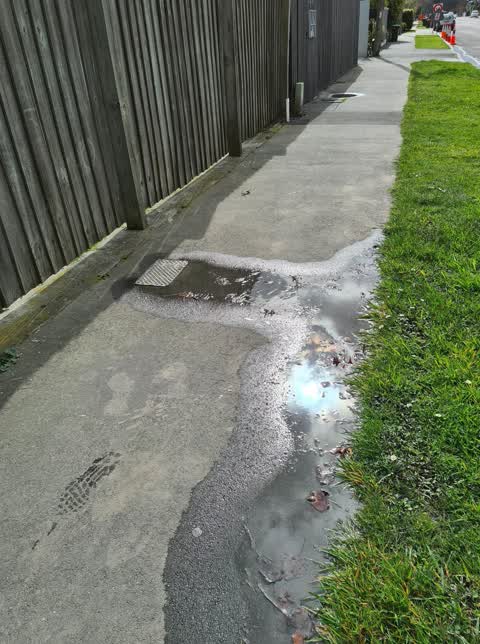 Water Supply, a report photo