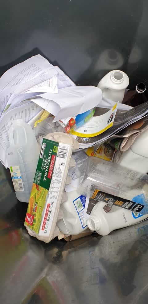 Rubbish/Recycling, a report photo