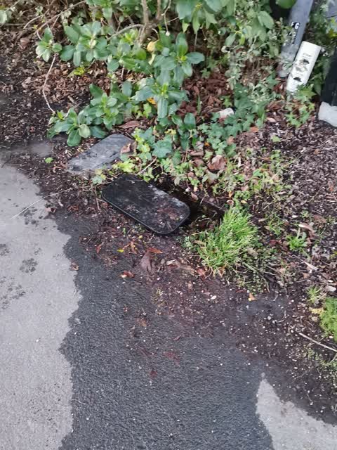 Wastewater/Stormwater, a report photo