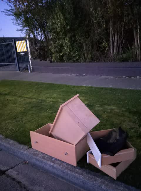 Rubbish/Recycling, a report photo