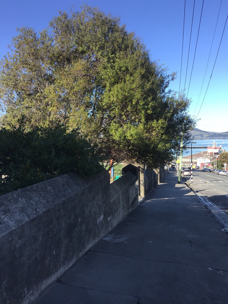 The photograph attached to this parks report