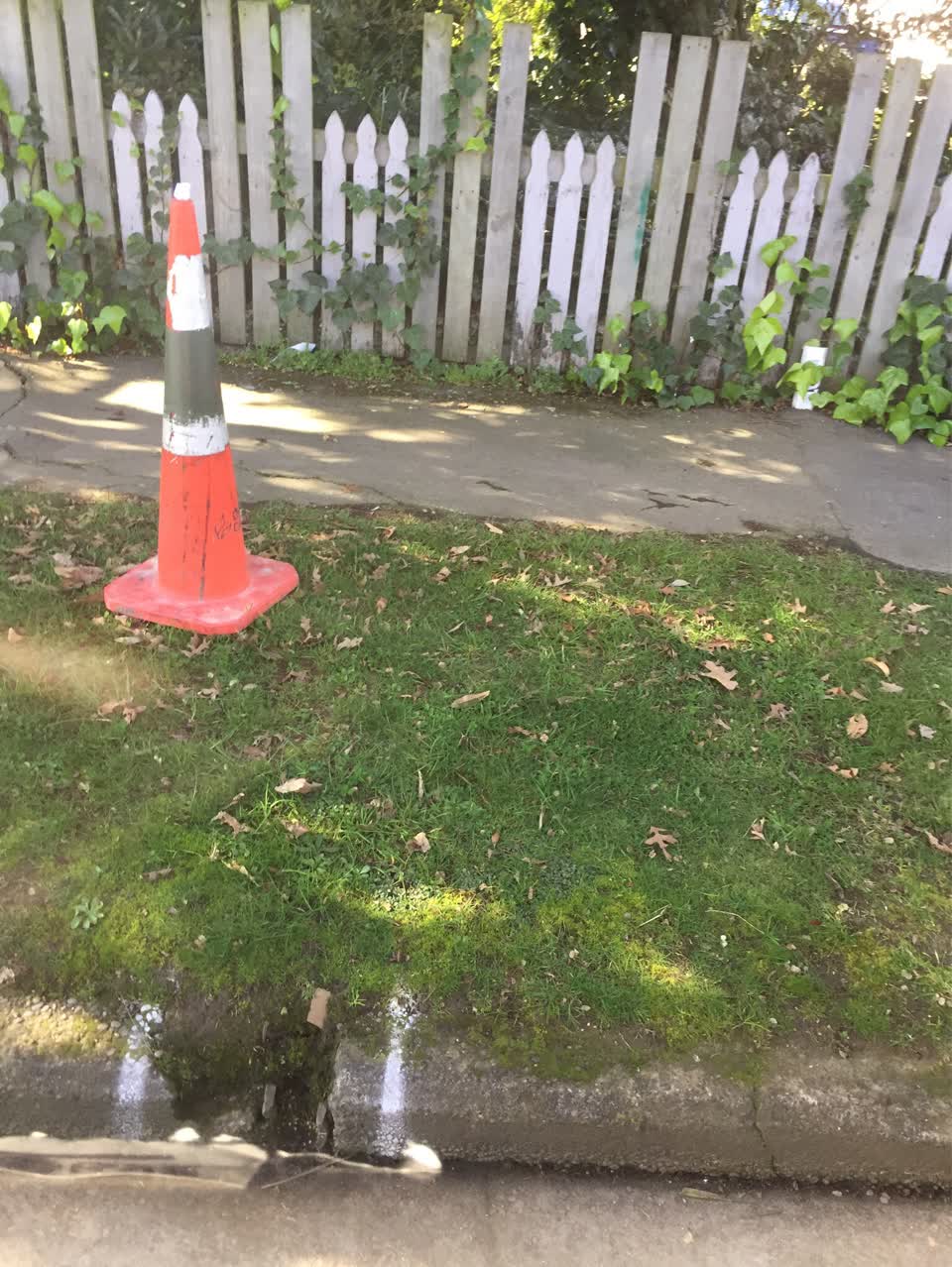 The photograph attached to this parks report