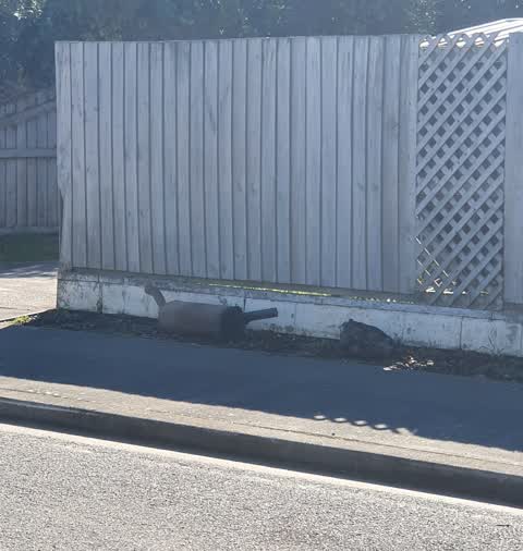 Rubbish/Recycling — a report photo