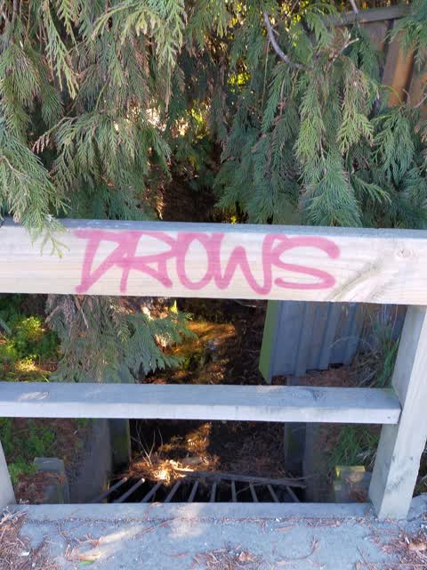 Graffiti, a report photo