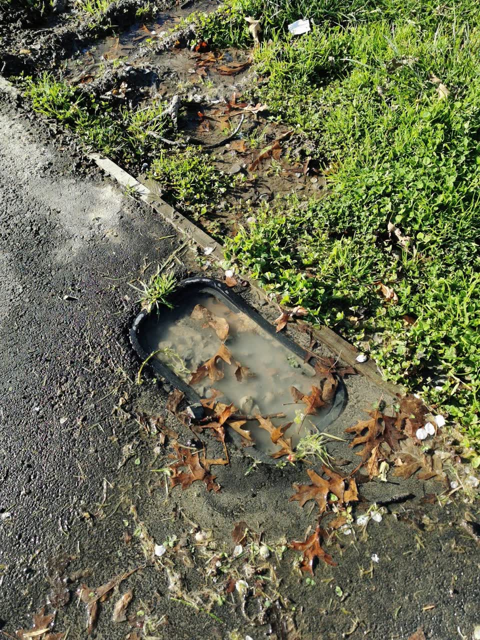 The photograph attached to this water supply report