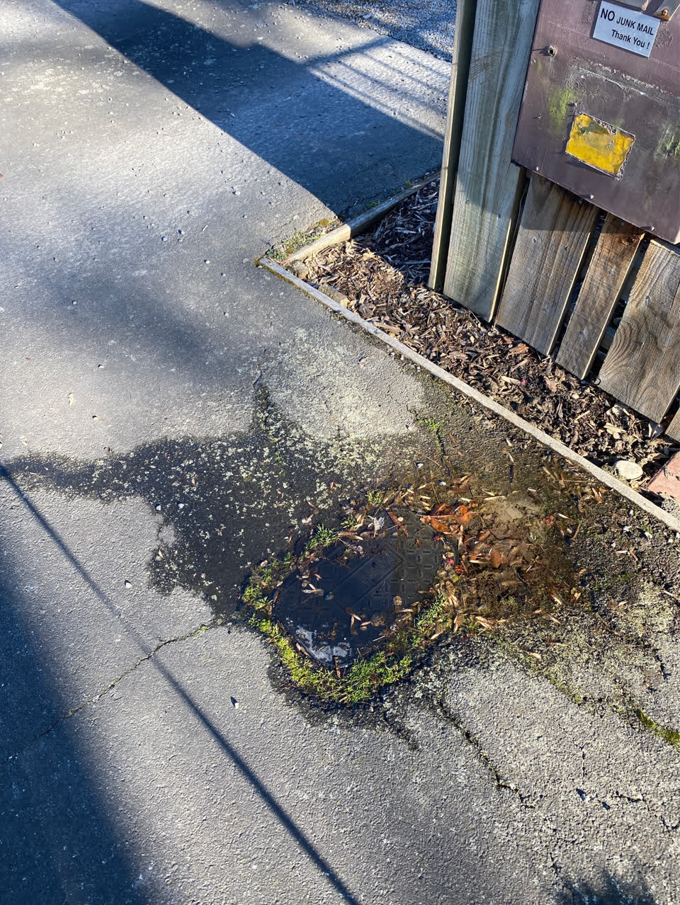 The photograph attached to this water supply report