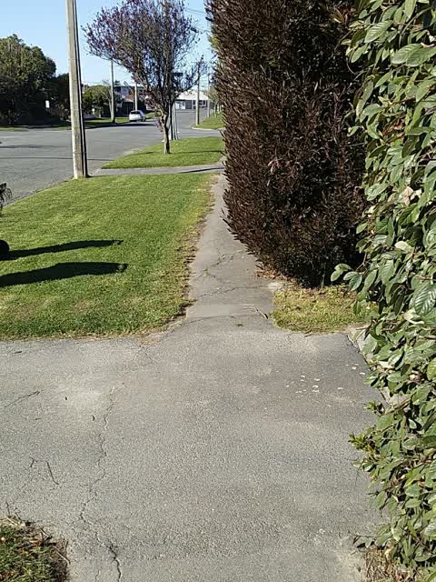Roading/Streets, a report photo