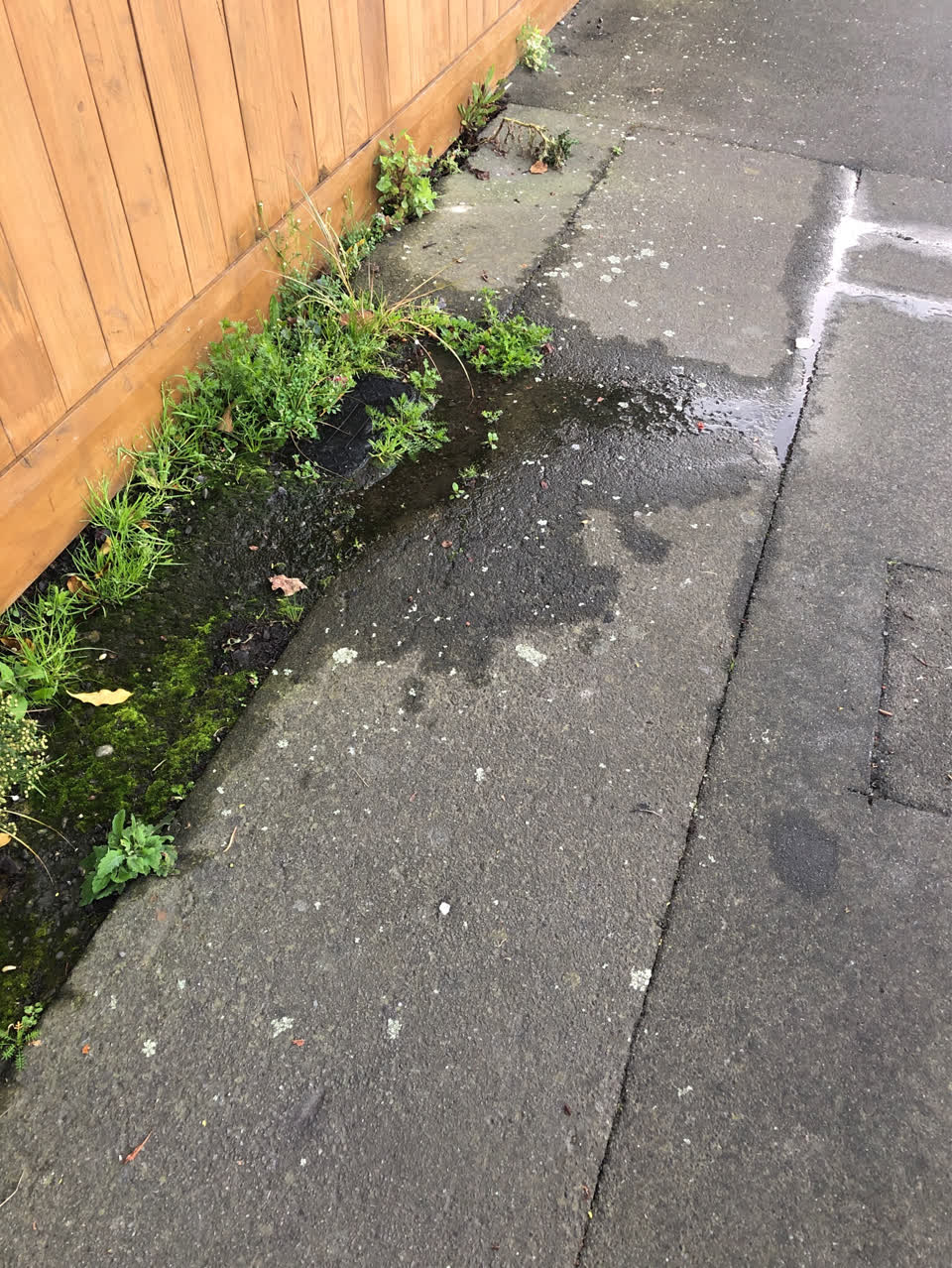 The photograph attached to this water supply report