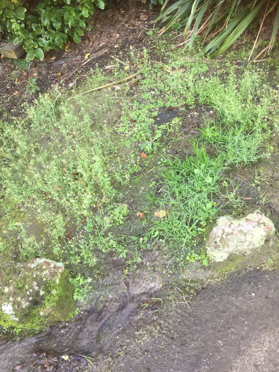 The photograph attached to this water supply report