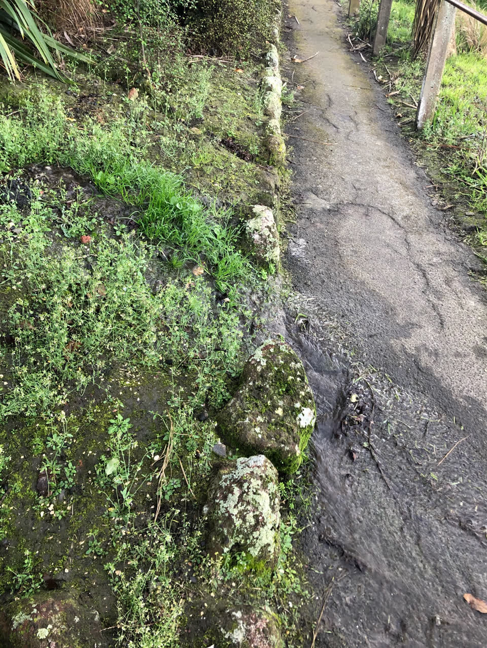 The photograph attached to this water supply report