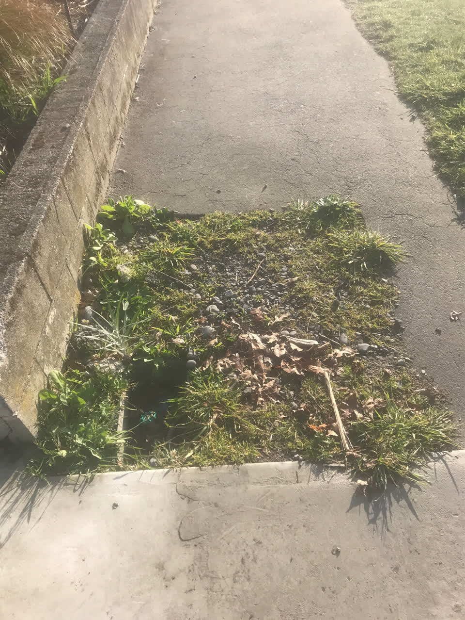 The photograph attached to this parks report