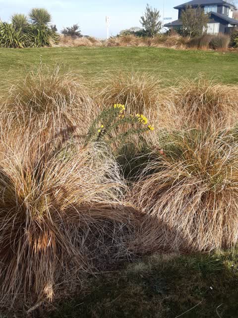 Parks, a report photo