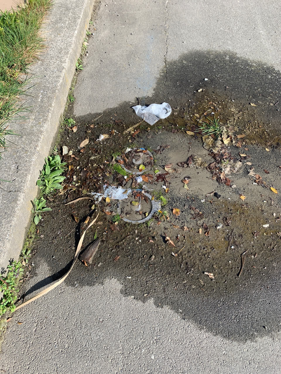 The photograph attached to this water supply report