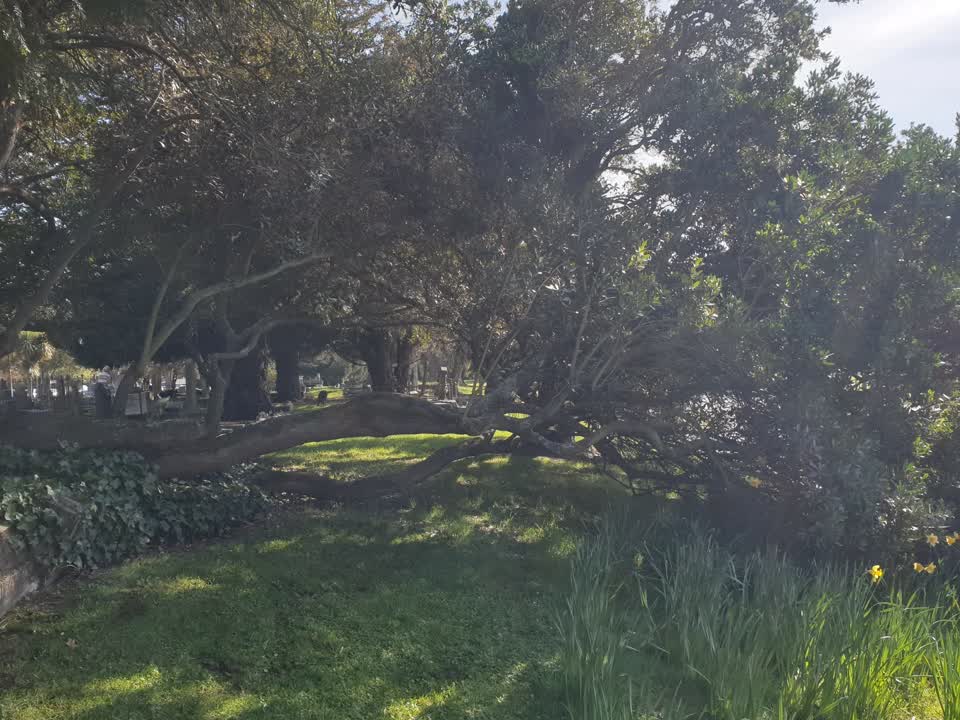 The photograph attached to this parks report