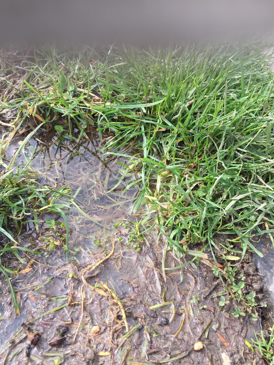 The photograph attached to this water supply report