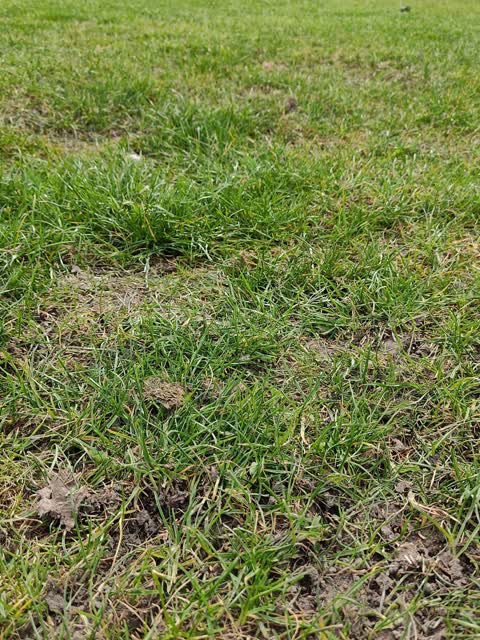Parks, a report photo