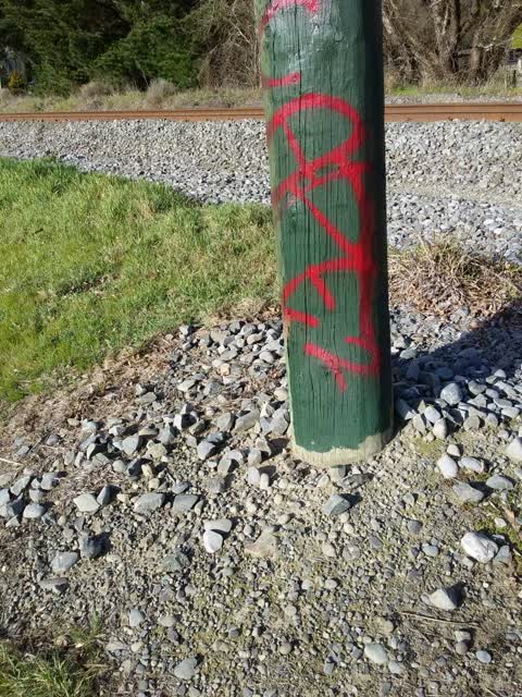Graffiti, a report photo