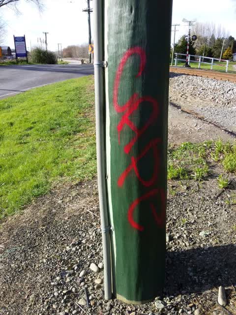 Graffiti, a report photo