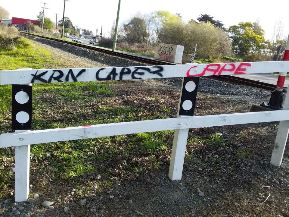 The photograph attached to this graffiti report
