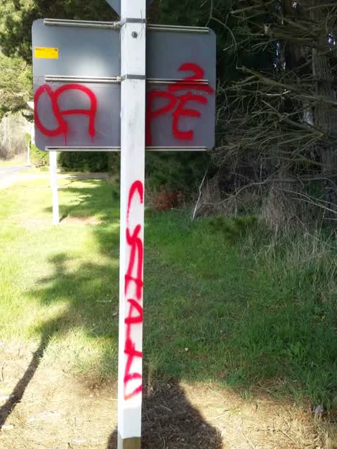 Graffiti, a report photo