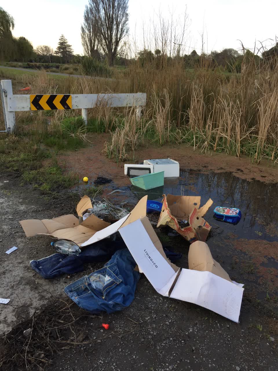 The photograph attached to this rubbish/recycling report