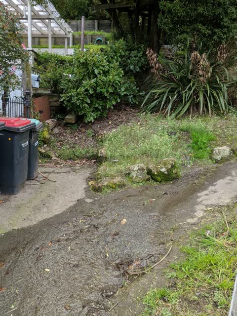 Water Supply, a report photo